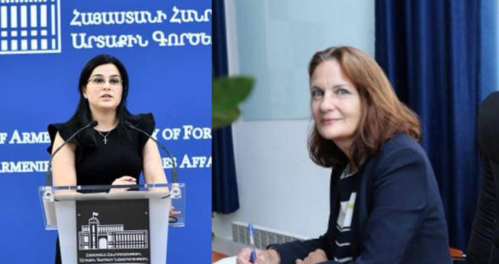 İrəvan UNICEF nümayəndəsinin mandatını dayandırdı