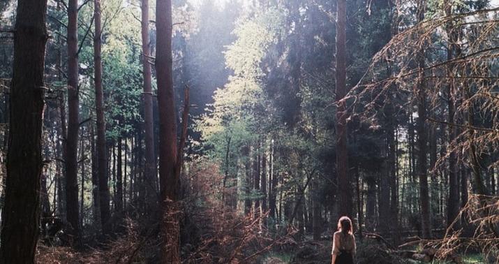 Qıza görə məktəbli adam bıçaqladı: "Dedi, ondan əl çək..." –