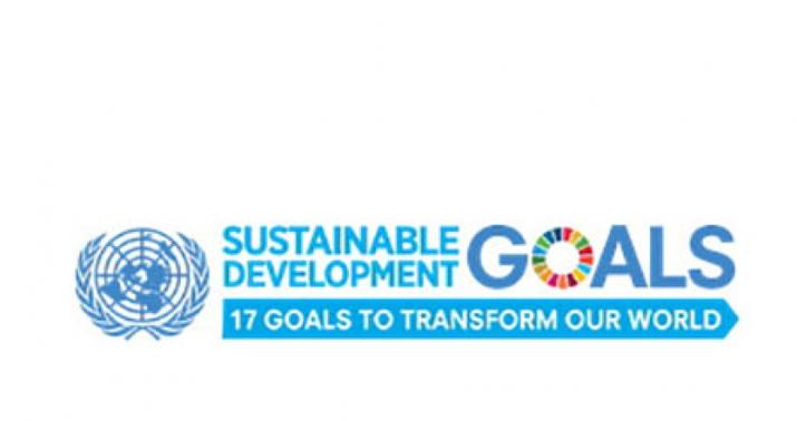 BMT Baş katibi bütün ölkələri Minalar Əleyhinə Konvensiyaya qoşulmağa çağırdı