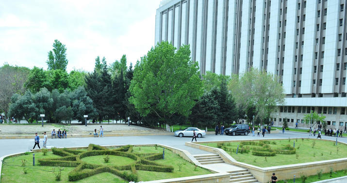 Universitetin həyətində Xarıbülbül yetişdi -