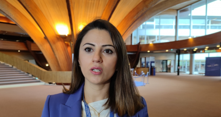 Qələbənin siyasi gücü: beynəlxalq müstəvidə erməni faşizminin ifşası -