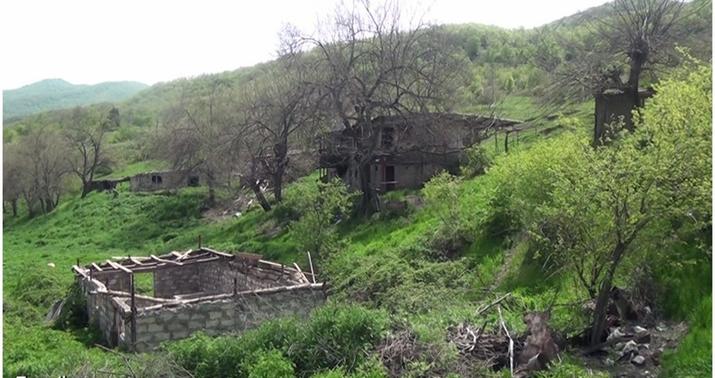 Zəngilanın Nəcəflər kəndi -