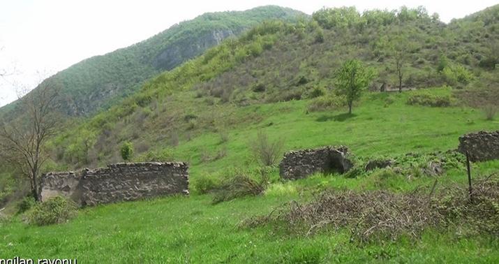 Zəngilanın Qaragöl kəndindən videogörüntülər