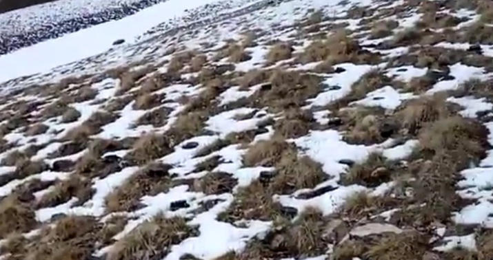 İtkin hərbçilərin axtarışı zamanı yüzlərlə mina belə aşkar edildi -