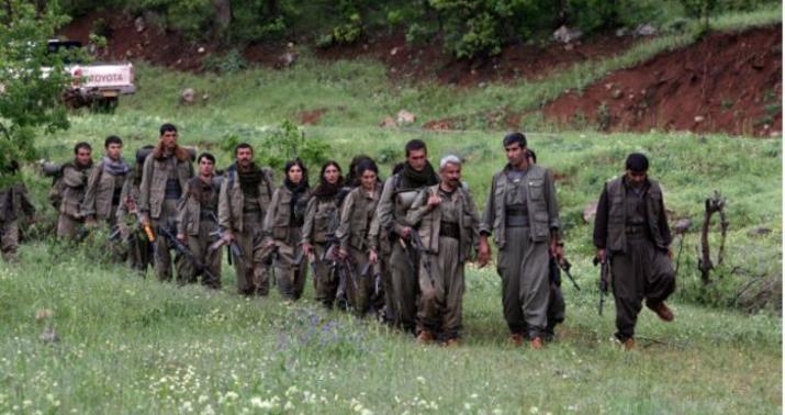 Türkiyənin təhlükəsizlik qüvvələri ilin əvvəlindən 1 162 terrorçunu zərərsizləşdirdi