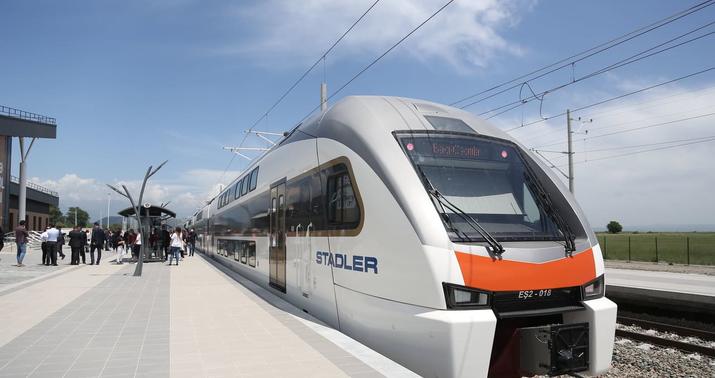 Sahibsiz heyvanlar səbəbindən dəmir yollarında 54 hadisə baş verib