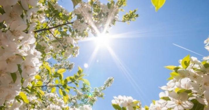 Sabahın 29 dərəcə isti olacaq