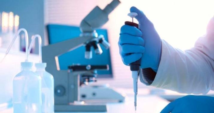 COVID-19-la bağlı inanılmaz araşdırma: