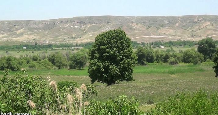 Qubadlının Tinli kəndindən görüntülər -