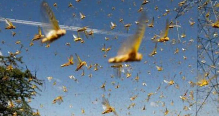 Baydenin Avropa səfəri "uğursuz" başladı: