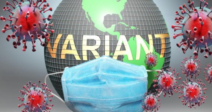 “2020-ci ilin əvvəlindəki səhvləri təkrar etməyək” -