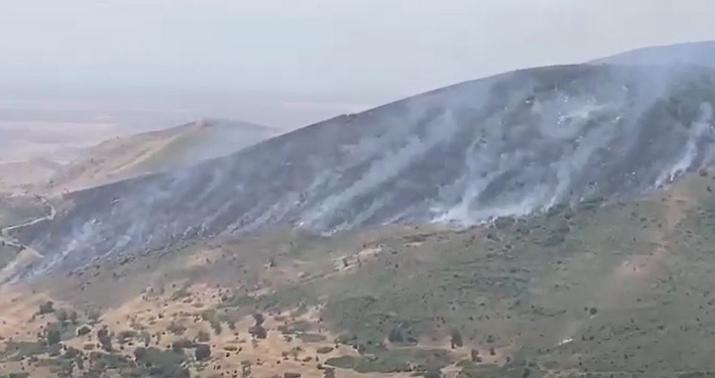 Hadrutda meşə zolağı yanır -