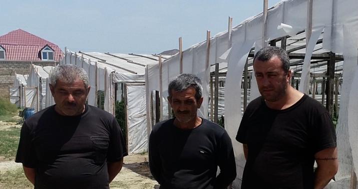 BMCMİ-dən əməliyyat: Həbs olunanlar var –