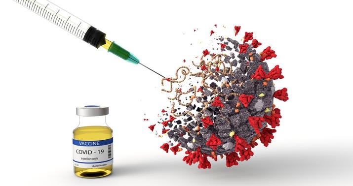 Hər bir vaksin orta hesabla 10-15 il sınaqdan keçirilir -