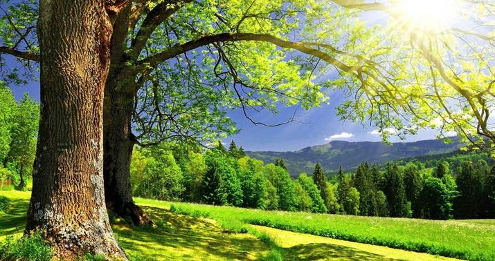 Sabah 40 dərəcə isti olacaq