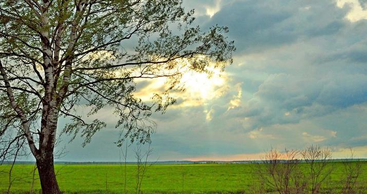 Sabahın hava proqnozu açıqlandı