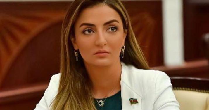 Ermənistan sülhə məcbur edilməlidir -