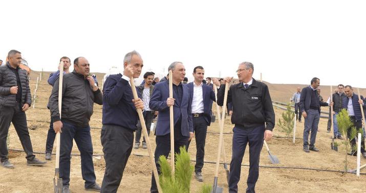 Baş prokuror və əməkdaşları ağacəkmə aksiyasında –