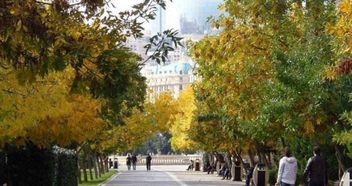 Sabahın hava proqnozu açıqlandı