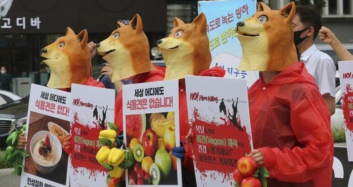 İt ətinin istehlakı qadağan oluna bilər: