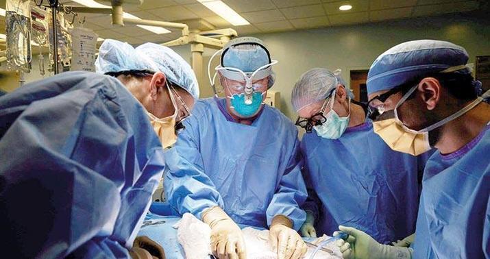 İlin birinci rübündə 11 cərrah barəsində tənbeh tədbiri görülüb