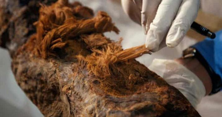 Elm dünyasını silkələyən kəşf: