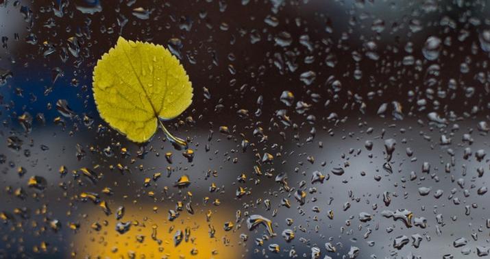 Sabah Bakıda və rayonlarda yağış yağacaq