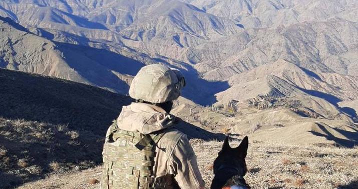 Türklər yeni əməliyyata başladı -