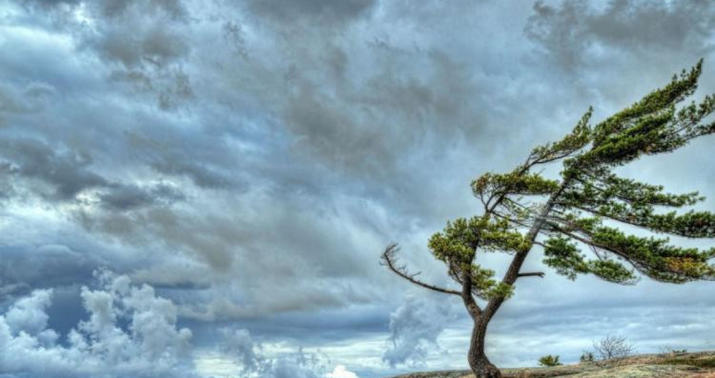 Sabah hava küləkli olacaq