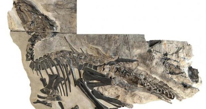 Dinozavrlarla bağlı yeni kəşf: Tarixdə ilk dəfə olaraq... -