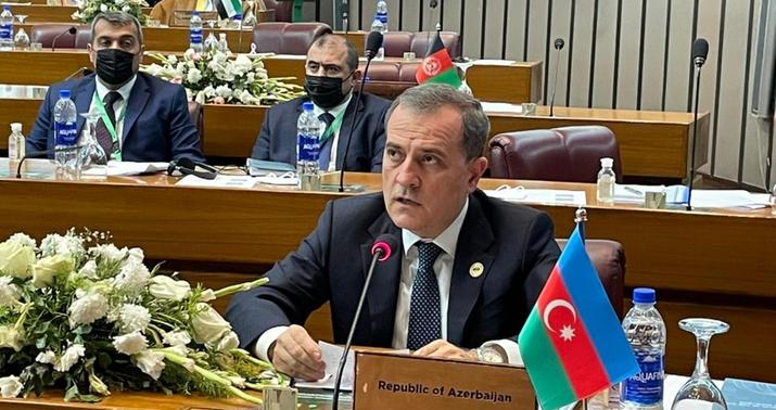 Ceyhun Bayramov İƏT-in növbədənkənar iclasında çıxış etdi -