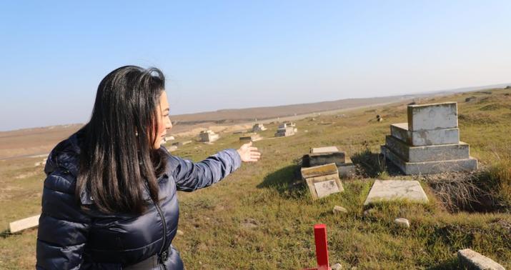 Ombudsman beynəlxalq təşkilatlara hesabat təqdim edəcək -