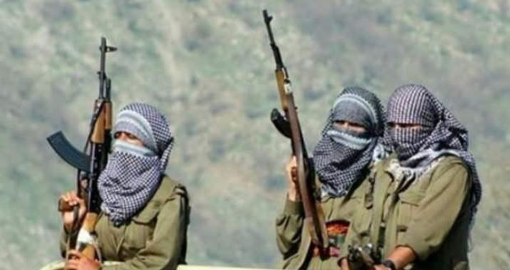 Terrorçuya heykəl qoymağa cəhd edildi -