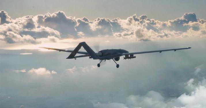 Rus rəsmisi Ukraynaya satılan "Bayraktar"dar haqda: