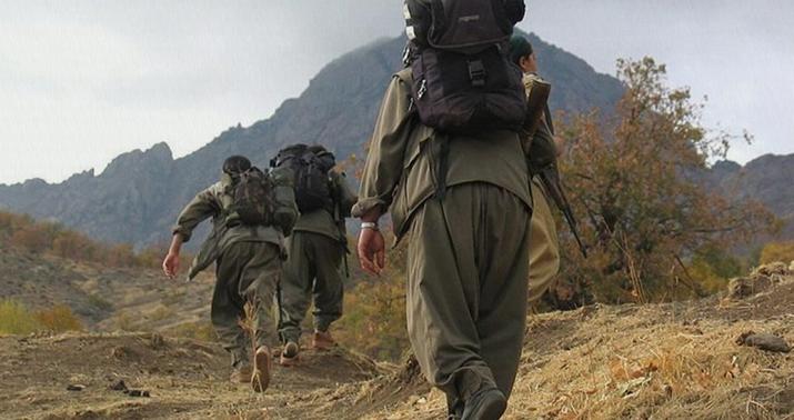 PKK jurnalistləri qaçırdı