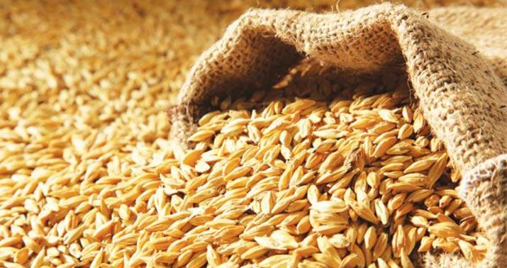 Ukrayna limanlarından ərzaq daşıyan daha 6 gəmi yola düşdü