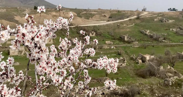 Britaniya səfiri Cəbrayıla səfər etdi -
