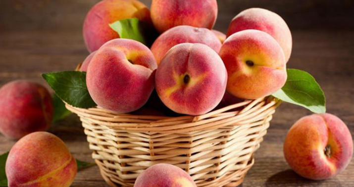 Türkiyədən idxal olunan şaftalı, nektarin və gilas tingində virus aşkarlandı