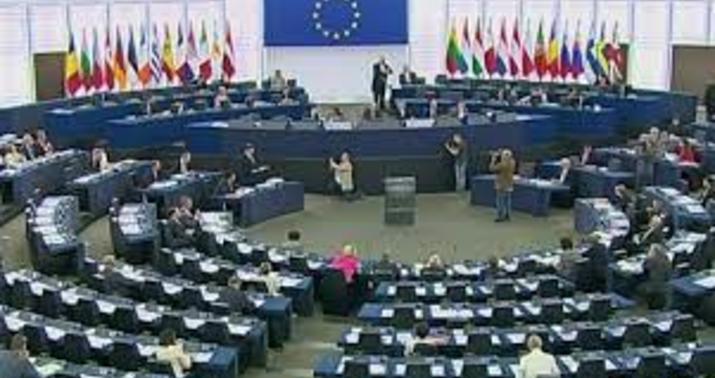 Avropa Parlamentinin qətnaməsi: İkili standartların təzahürü –