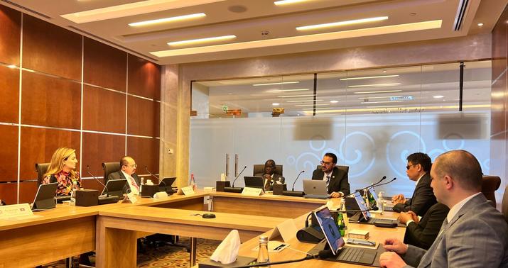 Millət vəkilindən beynəlxalq təşkilatın komitə iclasında -