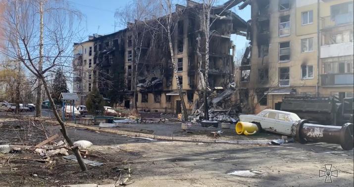 Qostomeldə “rus dünyası”: şəhər məhv edilib -