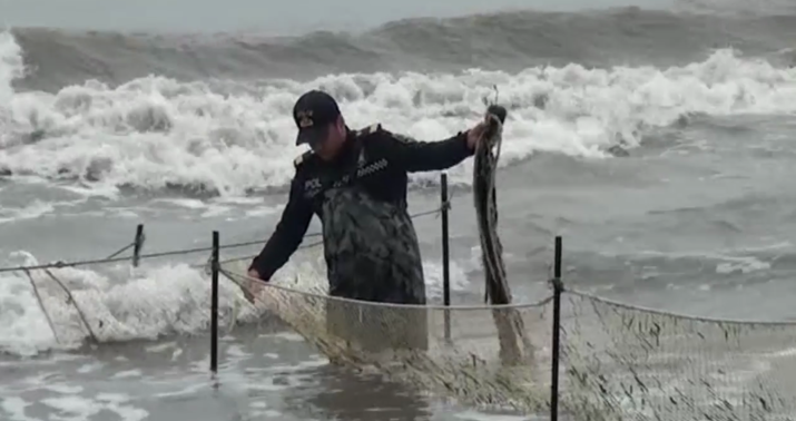 Qanunsuz balıq ovuna qarşı reyd keçirildi -