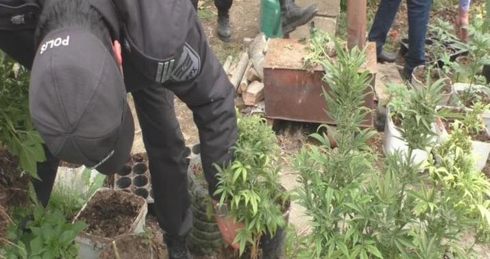 Bakıda narkotiklərlə bağlı əməliyyat keçirildi