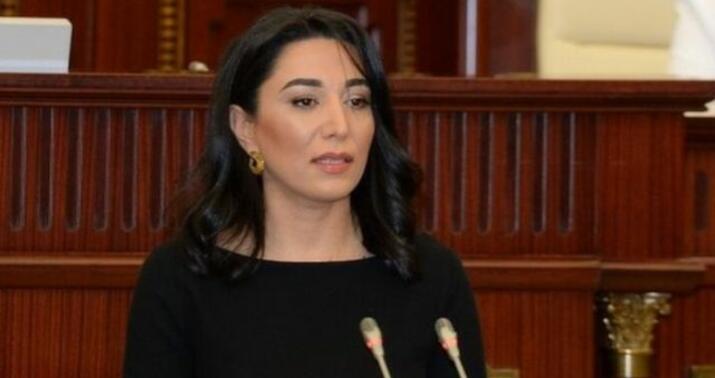 Ermənilərin Kəlbəcərdə mina yerləşdirməsi ilə bağlı -