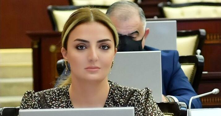 Ərazi iddialarına qarşı layiqli cavab: bütün cəbhələrdə mübarizə -