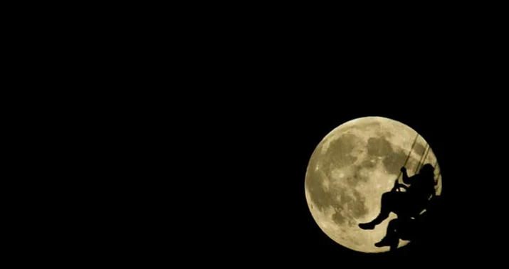 Tetçerin katalepsiyası