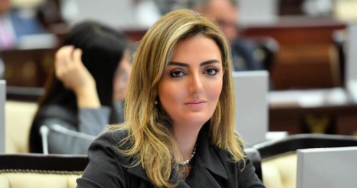 Psixo-maarifləndirici proqramların təşkili: