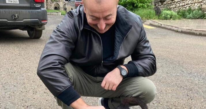 "Şuşada yeni dost" -