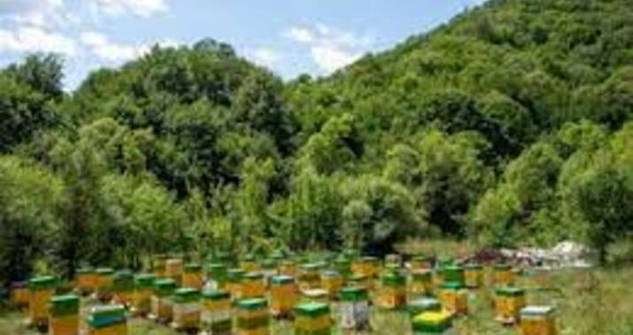 "Kəlbəcərə köçlə bağlı çox sayda müraciətlər var" -