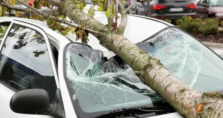 Xaçmazda avtomobil ağaca çırpıldı -